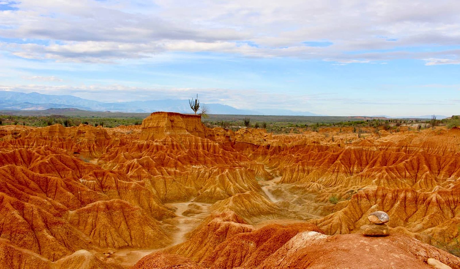 A cactus and bright red sand in Tatacoa Desert