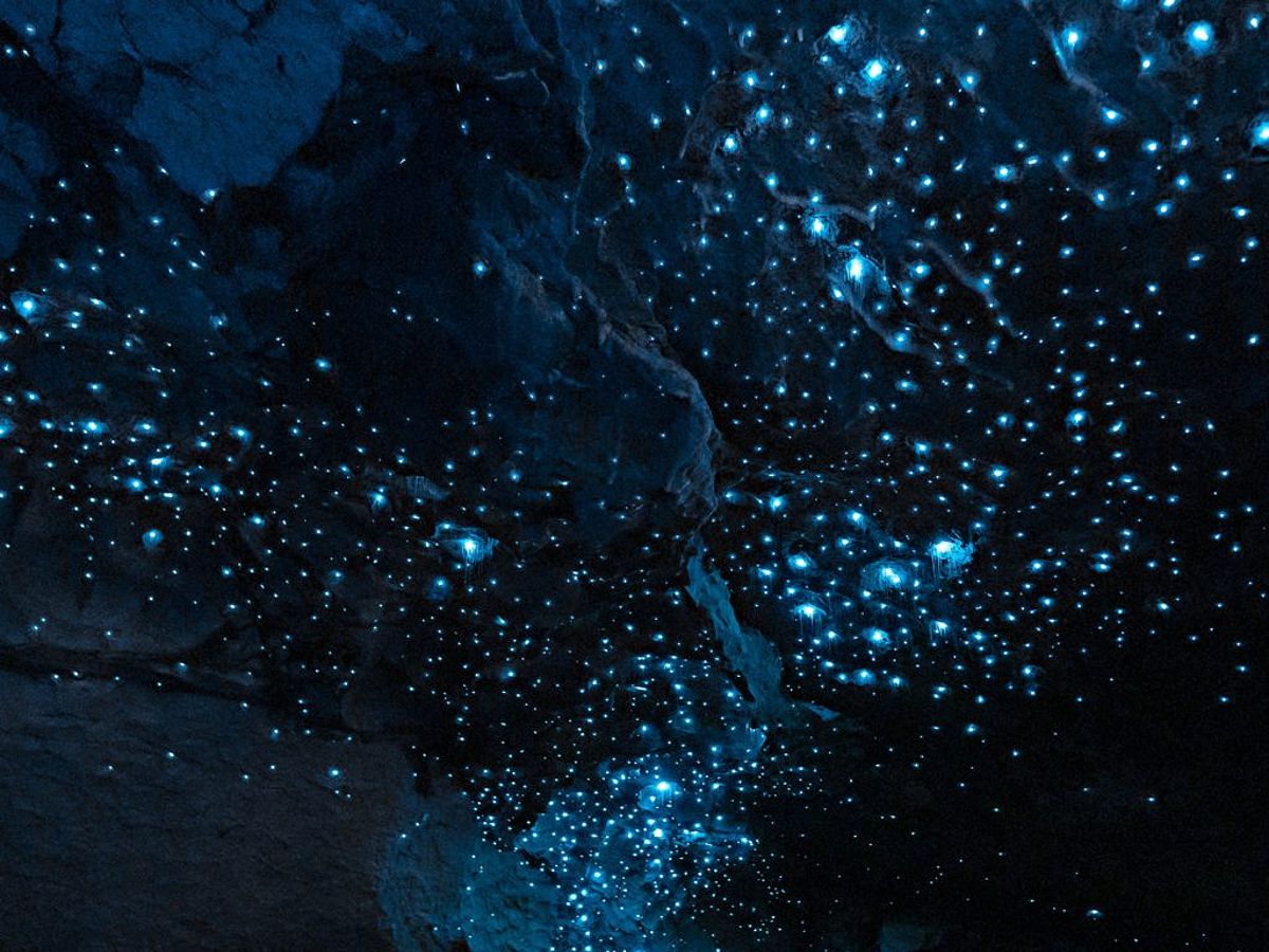 Te Anau Glowworms Cave in New Zealand