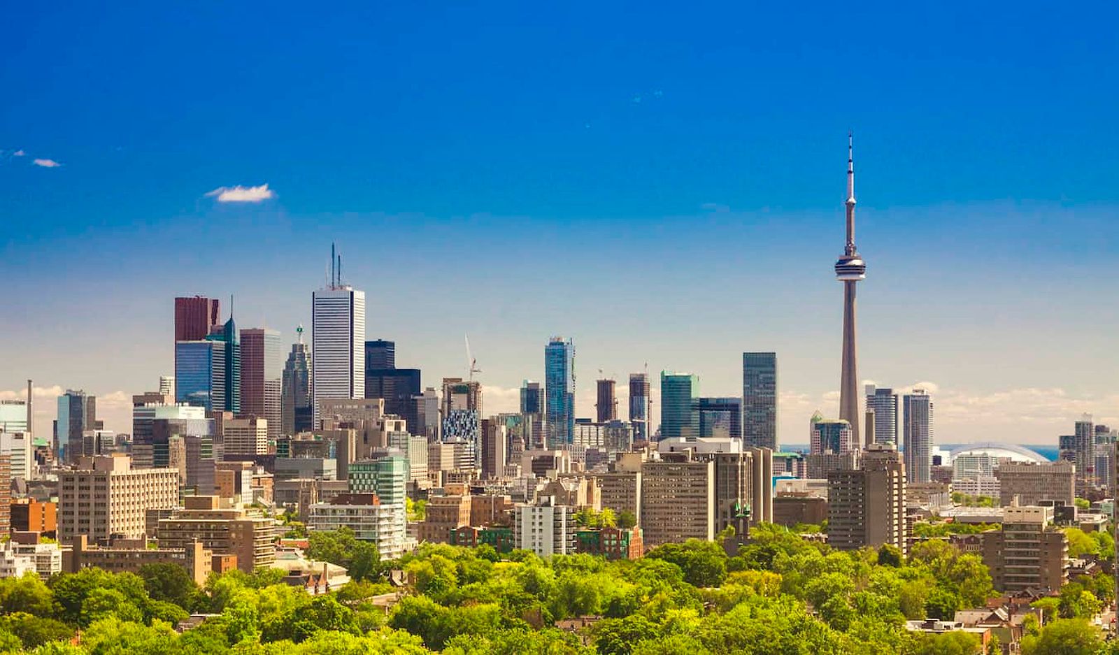 Where To Stay In Toronto: Discover The City’s Vibrant Neighborhoods